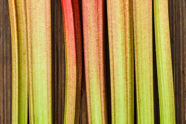 Rhubarb — Stock Photo, Image