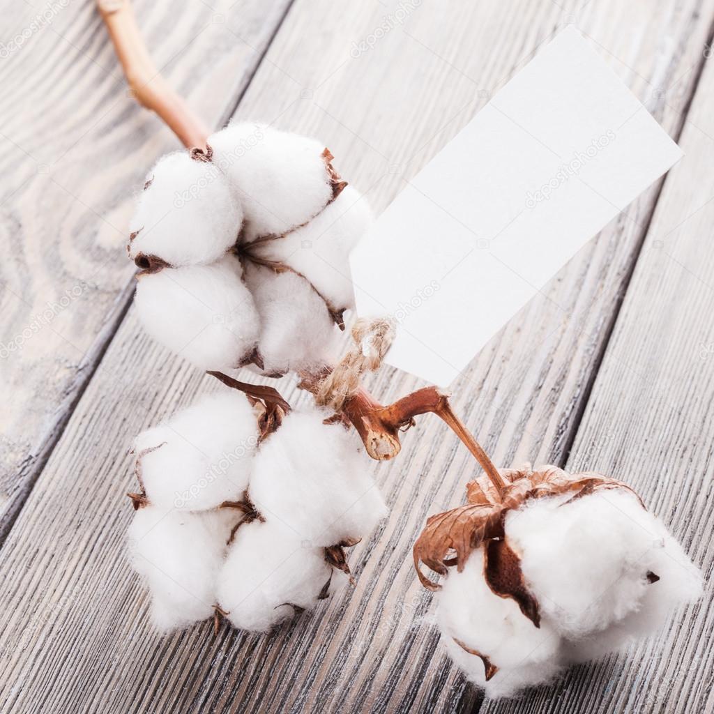 Cotton organic textile