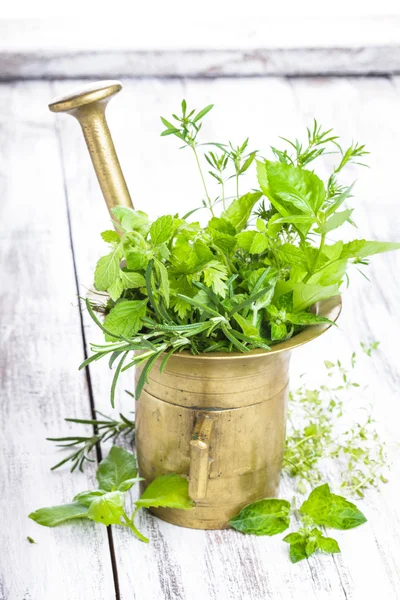 Fresh herbs — Stock Photo, Image