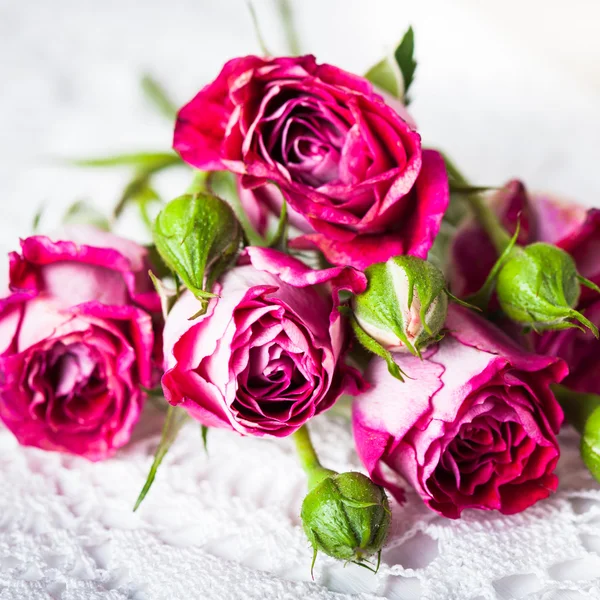 Roze rozen — Stockfoto