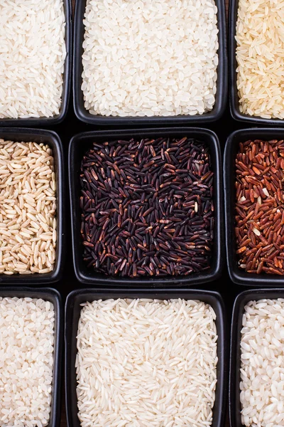 Various types of rice — Stock Photo, Image