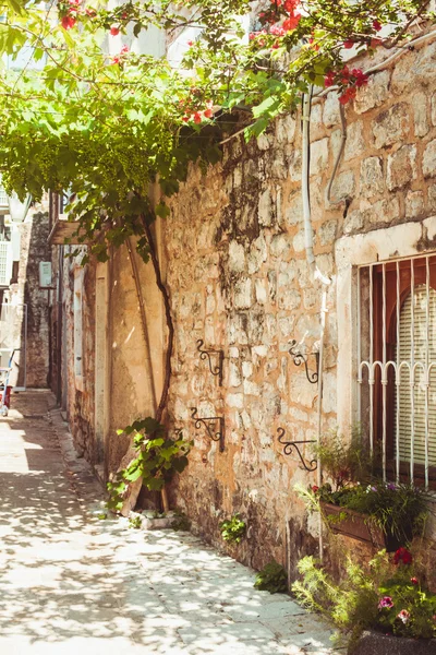 Eski kasaba budva