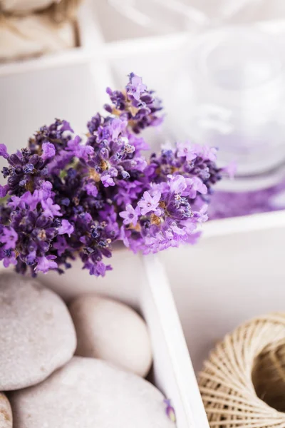 Wellness mit Lavendel — Stockfoto