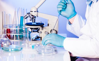 Araştırma yapan erkek