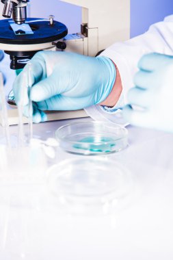 Araştırma yapan erkek