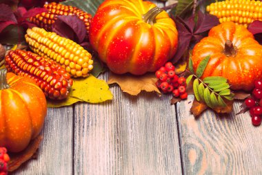 Sonbahar bir kutu içinde