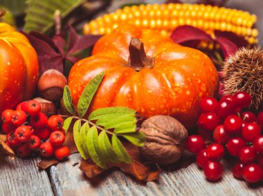 Sonbahar bir kutu içinde