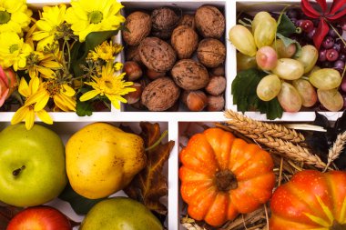 Sonbahar bir kutu içinde