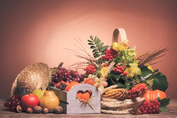 Buon Ringraziamento. — Foto Stock