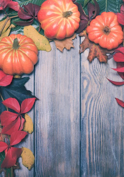 Podzim v krabici — Stock fotografie