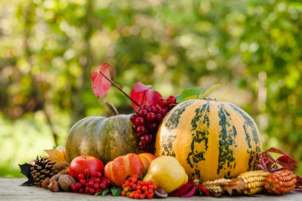 Buon Ringraziamento. — Foto Stock