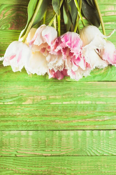 Tulipes sur fond de bois vert — Photo