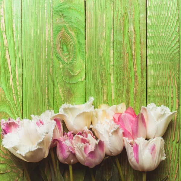 Tulipes sur fond de bois vert — Photo