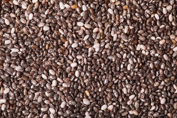 Chia seeds — Stock Photo, Image