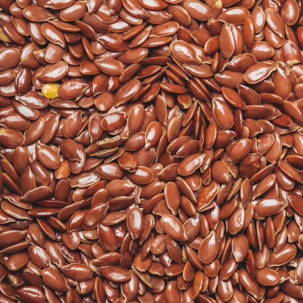 Flax seeds — Stock Photo, Image