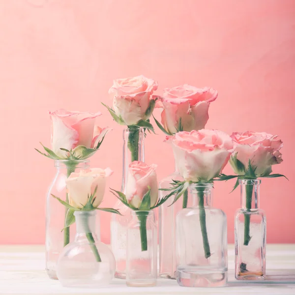 Roses in bottles — Stock Photo, Image