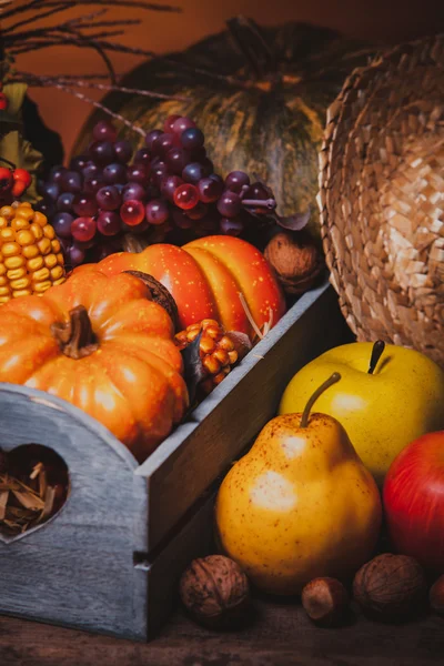 Buon Ringraziamento. — Foto Stock