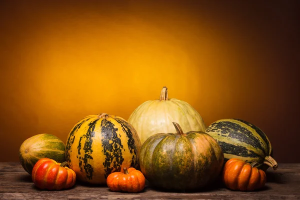 Herfst stilleven met pompoen — Stockfoto