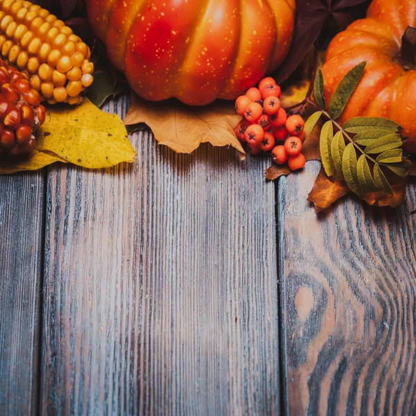 Otoño en una caja — Foto de Stock