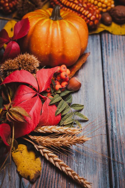 Herbst in einer Schachtel — Stockfoto