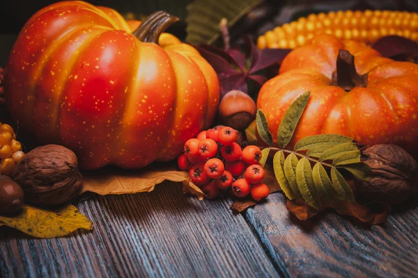 Herbst in einer Schachtel — Stockfoto