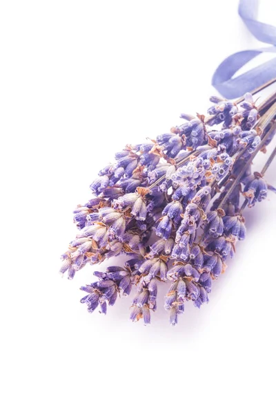 Lavanda seca cacho — Fotografia de Stock