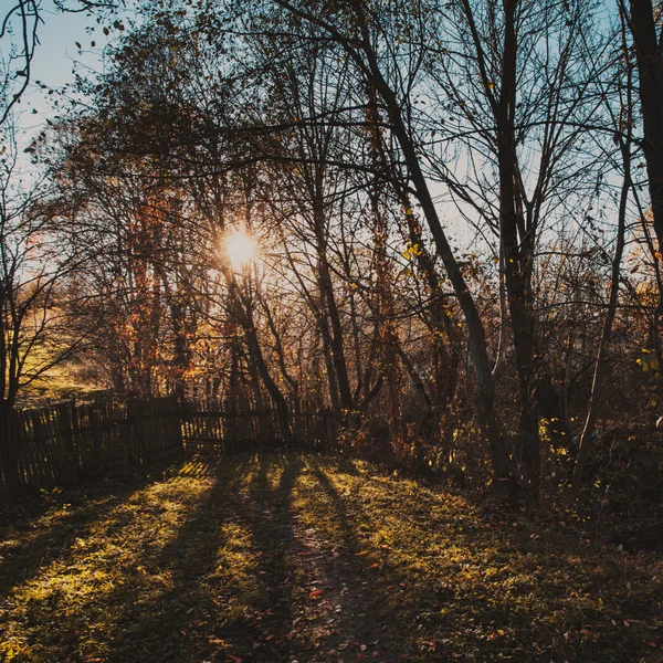 Herfst natuur — Stockfoto