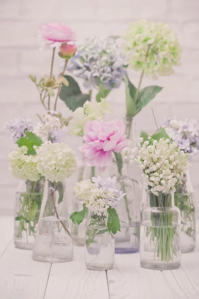 Blumen in Flaschen — Stockfoto