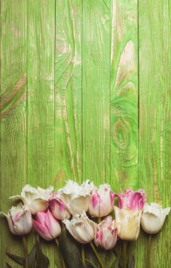 Lale yeşil ahşap zemin üzerine