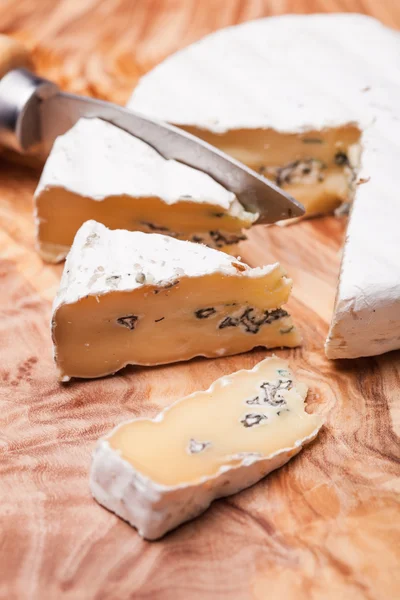 Cheese with two mold — Stock Photo, Image