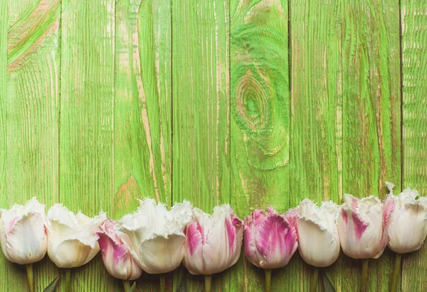 Tulpen auf grünem Holzhintergrund — Stockfoto