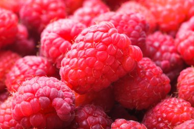 Ahududu yakın çekim