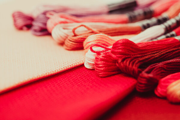 The embroidery canvas