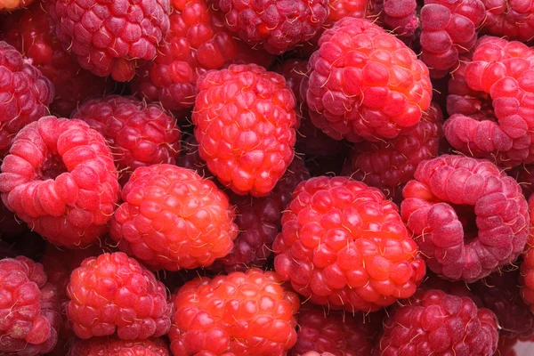 Raspberries close up — Stock Photo, Image