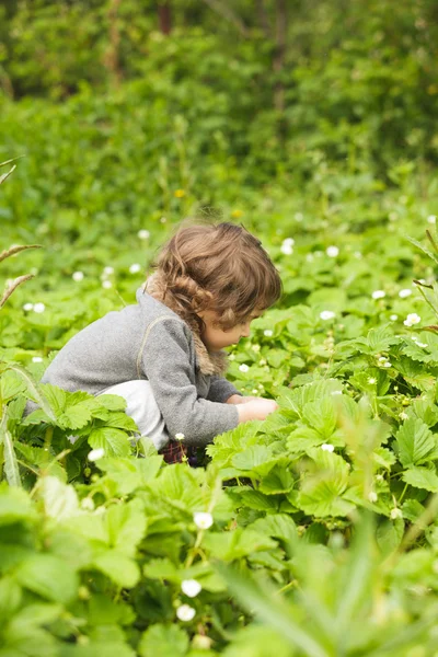 Klein kind in de tuin — Stockfoto