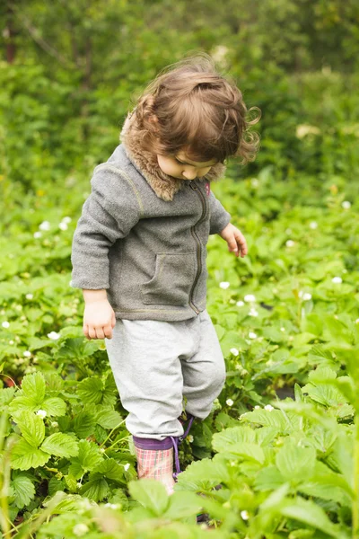 Little kid in the garden — Stock Photo, Image