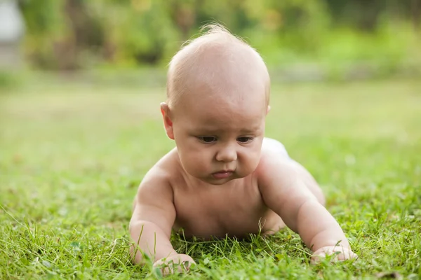 Liten pojke kryper på gräsmattan — Stockfoto