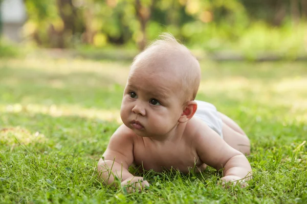 Kleiner Junge krabbelt auf Rasen — Stockfoto