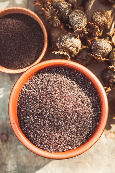 Las semillas de amapola — Foto de Stock