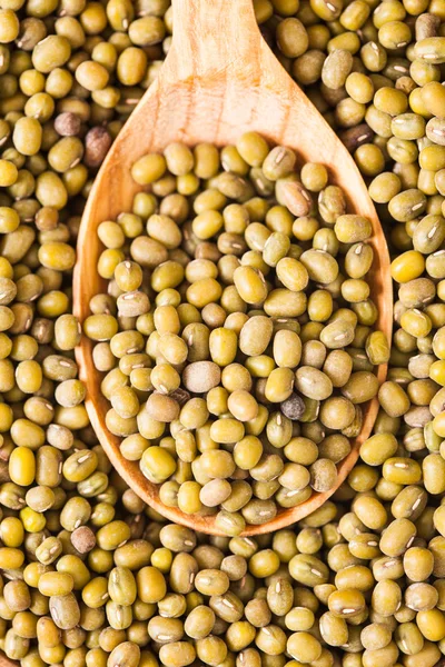 Green mung beans — Stock Photo, Image