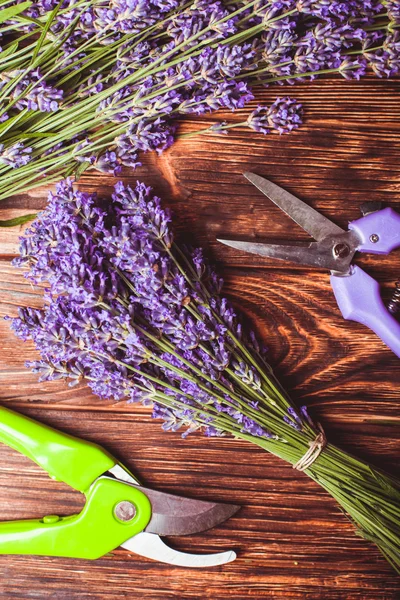 Il taglio della lavanda — Foto Stock