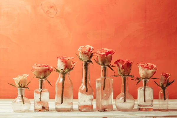 Roses in bottles — Stock Photo, Image