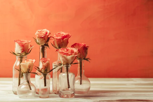 Roses in bottles — Stock Photo, Image