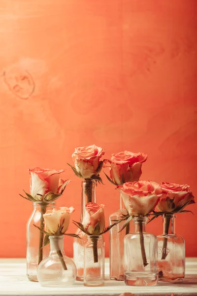 Roses in bottles — Stock Photo, Image