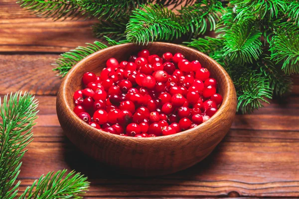 Cranberries frescas na tigela — Fotografia de Stock