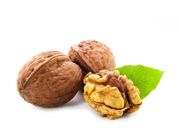 Walnuts with leaf isolated — Stock Photo, Image