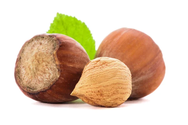 Hazelnuts and leaf isolated — Stock Photo, Image