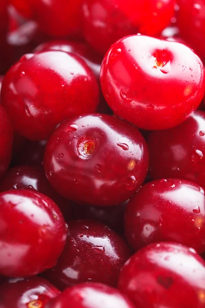 Cherries as a background — Stock Photo, Image