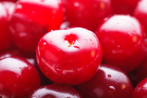 Cerezas como fondo — Foto de Stock