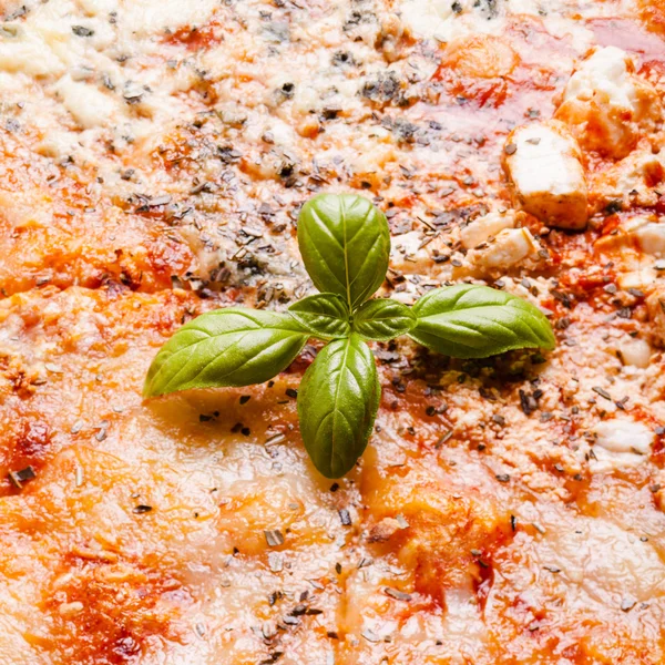 Pizza - quattro formaggi — Foto Stock
